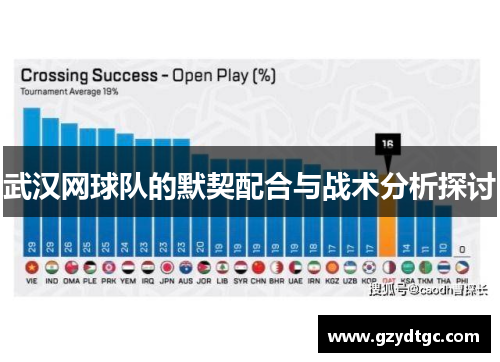 武汉网球队的默契配合与战术分析探讨