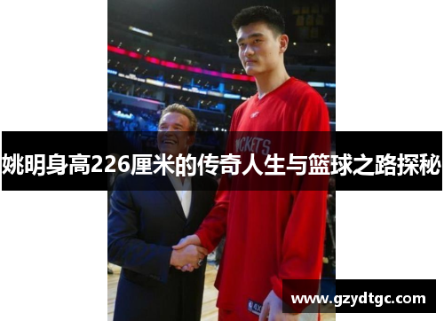 姚明身高226厘米的传奇人生与篮球之路探秘
