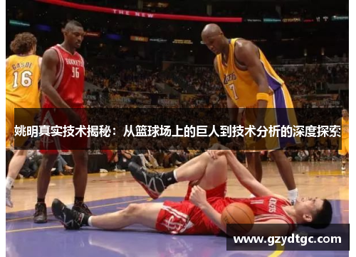 姚明真实技术揭秘：从篮球场上的巨人到技术分析的深度探索